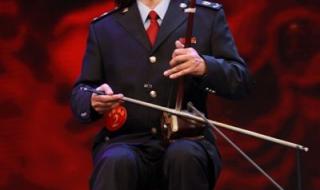 一枝花二胡 一枝花二胡